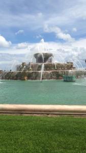 Photo Credit Julia Tisdale